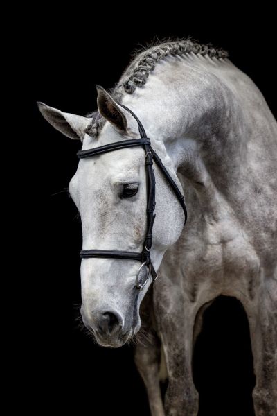 Allroad 2000 Z Allroad 2000 Z