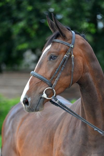 20200710-ga76255-atletic 20200710-ga76255-atletic