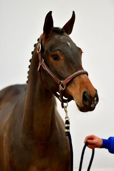 20191107-ga63775 20191107-ga63775