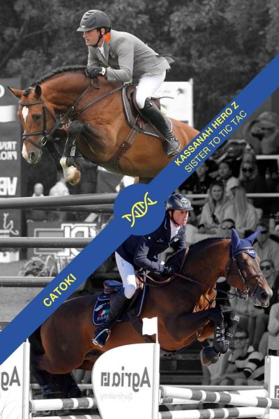 Embryo Catoki Z x Kassanah Hero Z Embryo Catoki Z x Kassanah Hero Z