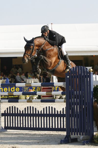 Chacco Blue Chacco Blue