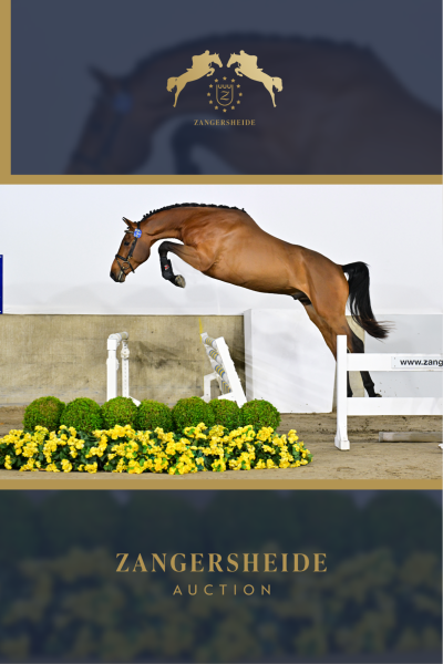 Aventi van't Gobenhof