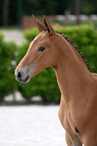 upgrade-jt-z-76 upgrade-jt-z-76