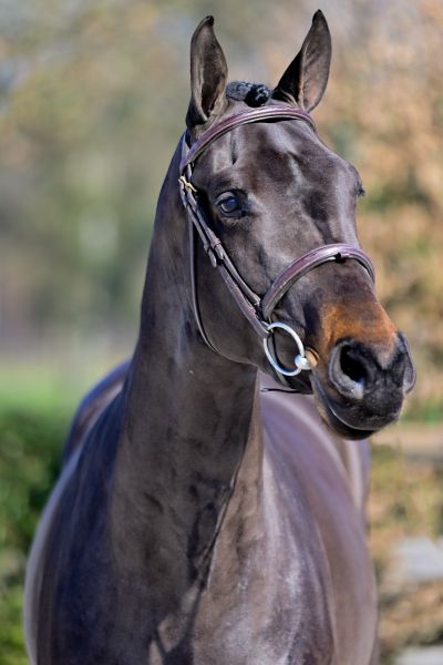 deejay-river-z deejay-river-z