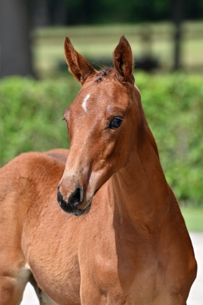 20210626-ga76100-large 20210626-ga76100-large