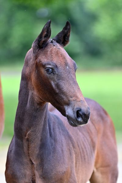 20210612-ga72027 20210612-ga72027