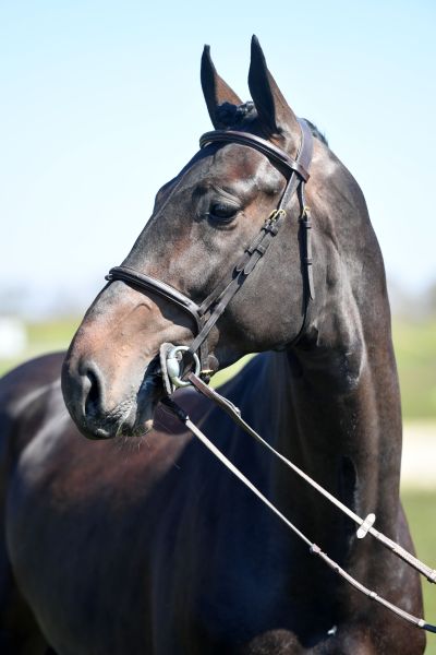 hip-hop-de-hus-39 hip-hop-de-hus-39