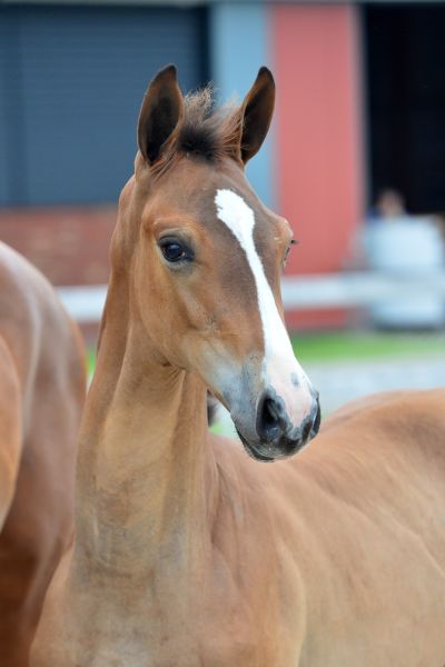 20200705-ga79203-4-large 20200705-ga79203-4-large