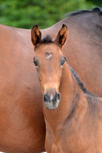 20200725-ga75510-1 20200725-ga75510-1