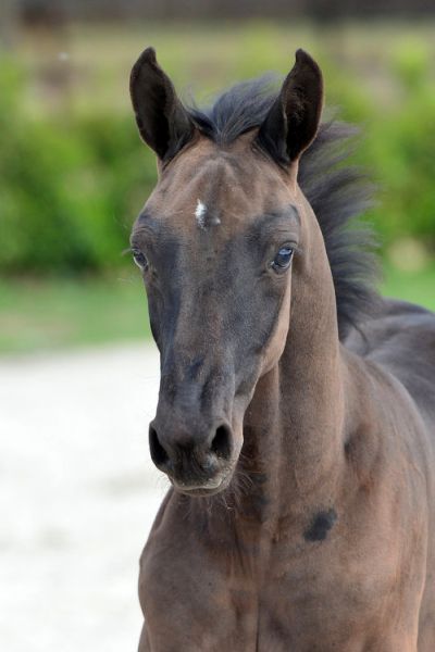 22-2020-03-08-20200523-ga73049-1 22-2020-03-08-20200523-ga73049-1