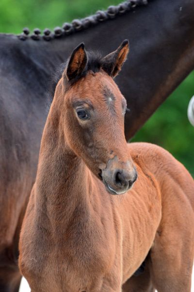 08-2020-03-08-20200523-ga71705-2 08-2020-03-08-20200523-ga71705-2