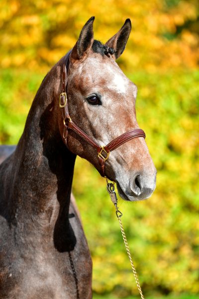 20191107-ga62719 20191107-ga62719