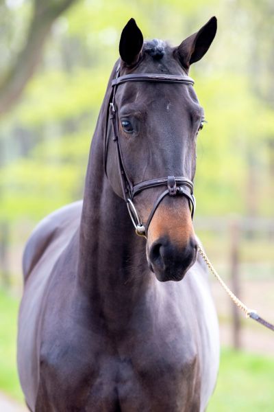 devidanga-sw-z-57 devidanga-sw-z-57