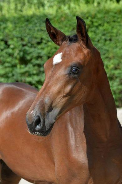 comme-promis-4 comme-promis-4