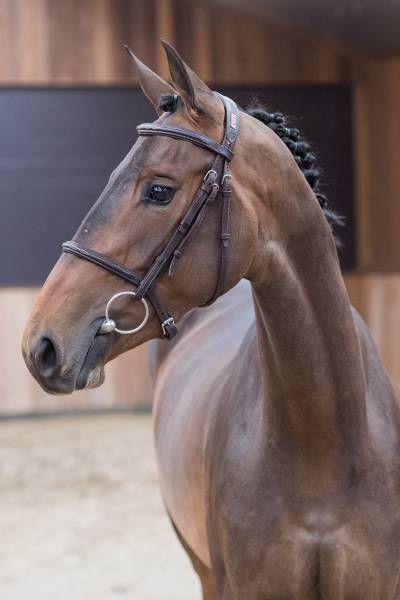 2018314-03-18-a-64474 2018314-03-18-a-64474