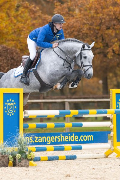 Commil Champ Z 