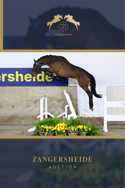DOUBLE CLEAR VH DISTELHOF . DOUBLE CLEAR VH DISTELHOF .