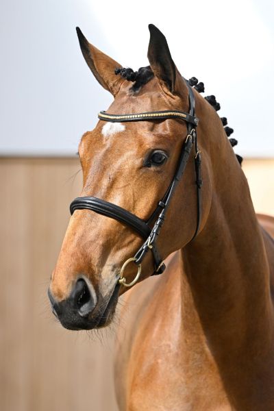 Charlotte d'Grandin Z Charlotte d'Grandin Z