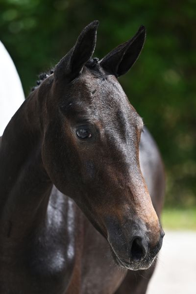 948_6440 haddaway A&S Z 948_6440 haddaway A&S Z