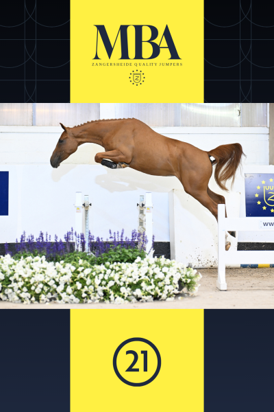 Cinderella Fee Z Cinderella Fee Z