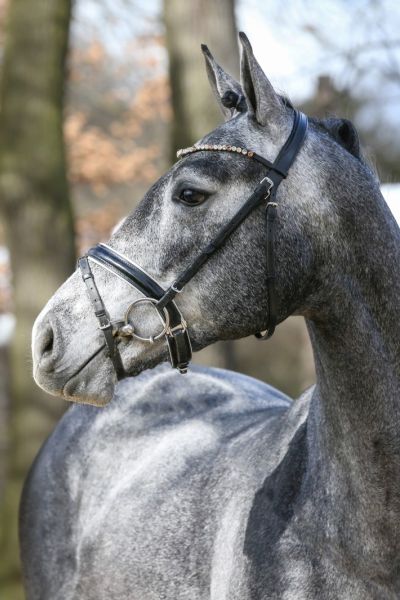 lipton-ice-58 lipton-ice-58