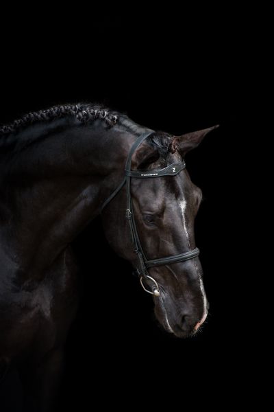 DIAMANT DE SEMILLY x CASSINI I Dominator 2000 Z