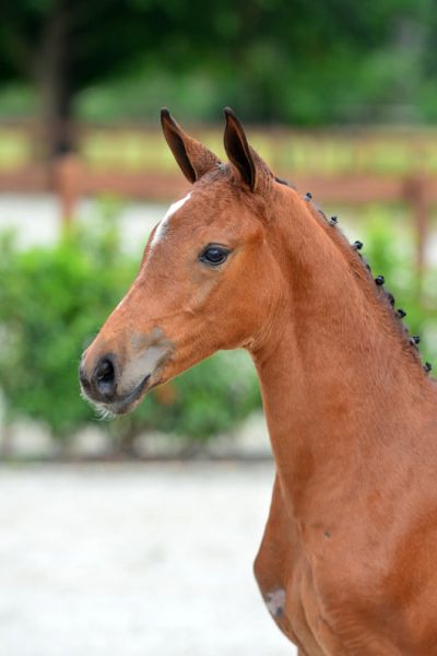 20200725-ga76174-1 20200725-ga76174-1