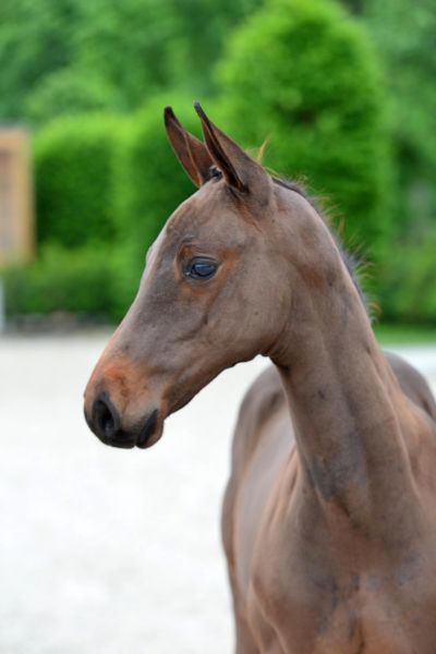 04-2020-03-08-20200523-ga71336-1 04-2020-03-08-20200523-ga71336-1