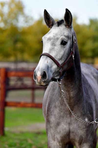 caresse-ja-z-14-58-59 caresse-ja-z-14-58-59