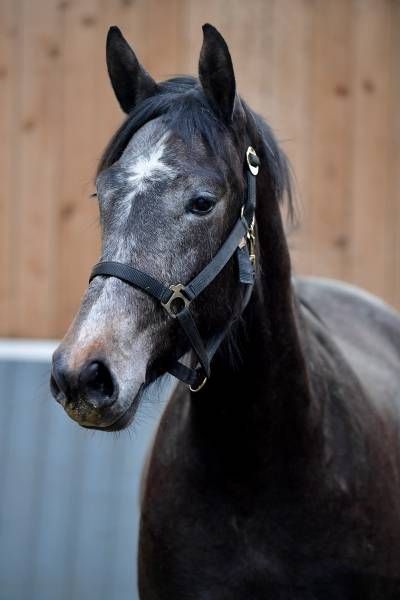 20180404-ga65177 20180404-ga65177