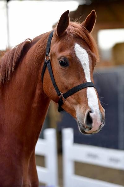 20180404-ga65261 20180404-ga65261