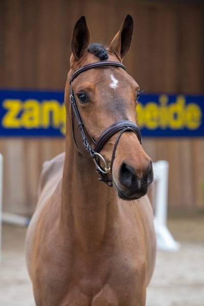 2018314-03-18-a-64103 2018314-03-18-a-64103