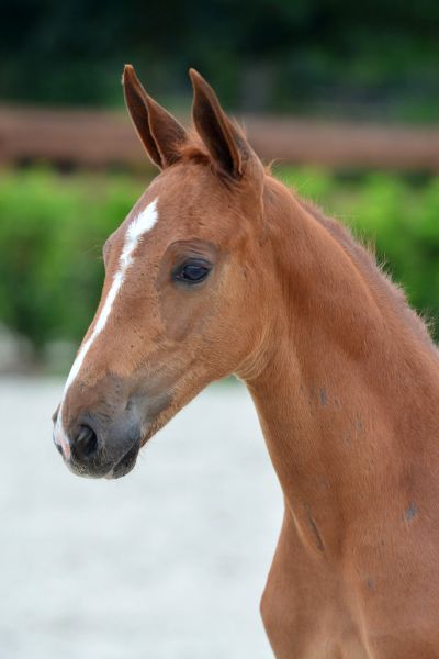 20200717-ga77461-1 20200717-ga77461-1