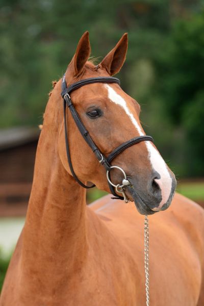 20200710-ga75571-azure 20200710-ga75571-azure