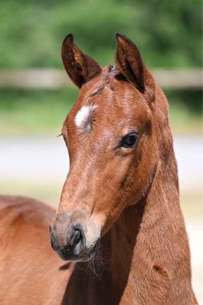 47 Uricas Way Z 47 Uricas Way Z