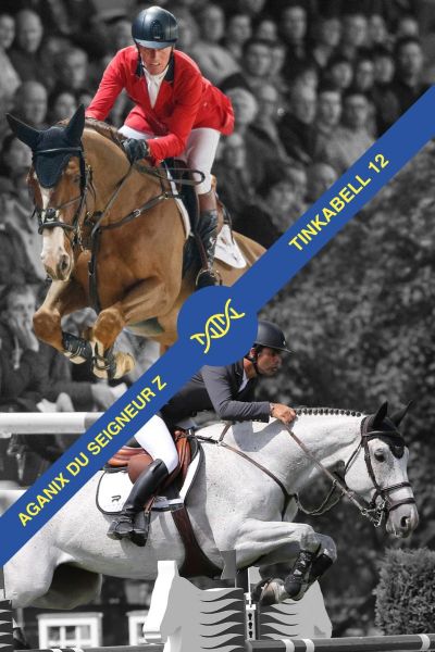 Embryo Aganix du Seigneur Z x Tinkabell 12 Embryo Aganix du Seigneur Z x Tinkabell 12