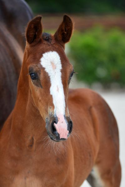 20200718-ga70309-1 20200718-ga70309-1