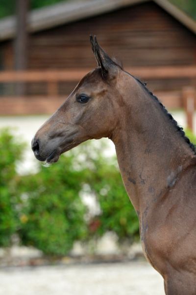 20200725-ga76098-1 20200725-ga76098-1