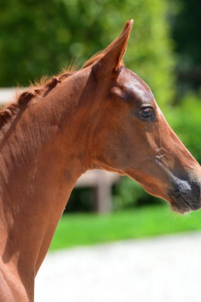 20200719-ga74519-1 20200719-ga74519-1