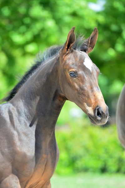 23-2020-03-08-20200523-ga73127-1 23-2020-03-08-20200523-ga73127-1