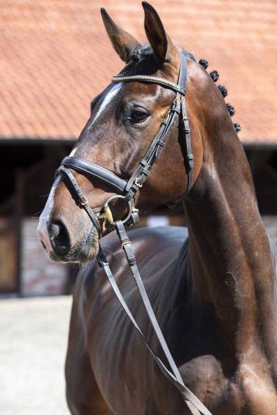 big-time-3 big-time-3