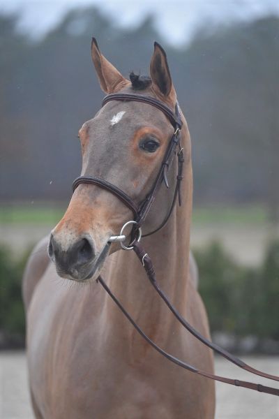 nirvania-77 nirvania-77