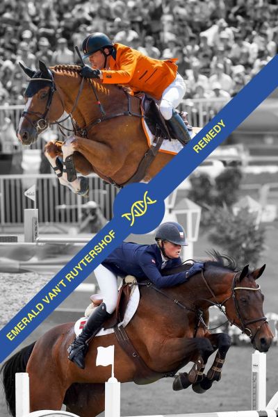 Embryo Emerald x Remedy Embryo Emerald x Remedy