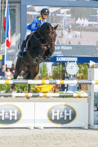 BRUNETTI Z - Striking presence and impressive legacy! | Studfarm ...