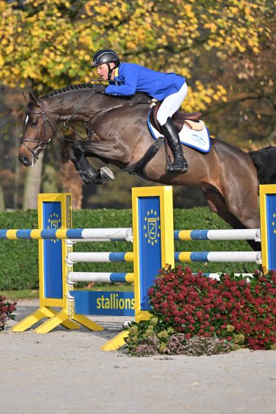 Gran Diablo Viktory Z