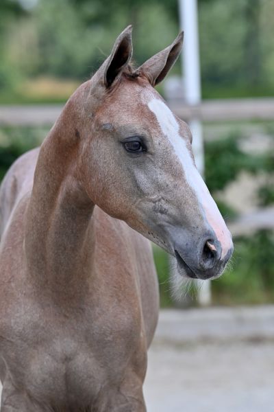 m21-20210703-ga72107-large m21-20210703-ga72107-large