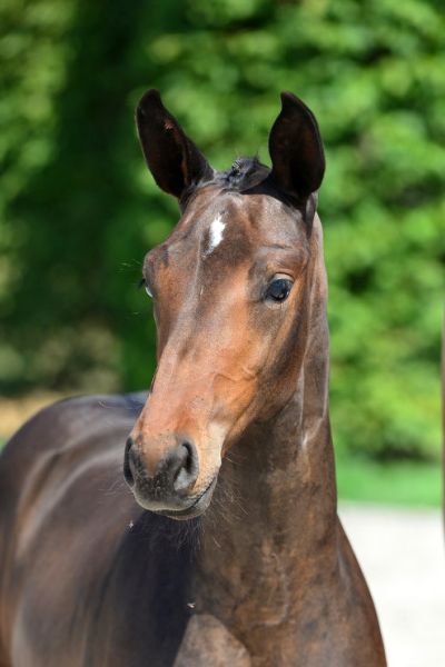 20200808-ga73550-1 20200808-ga73550-1