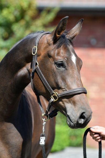 20200624-ga67534-carletha-3 20200624-ga67534-carletha-3