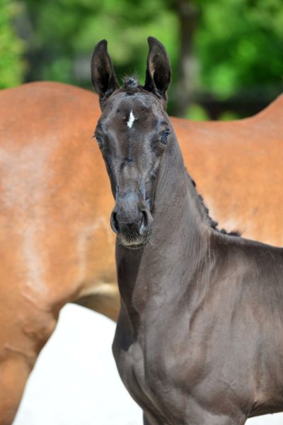 24-2020-03-08-20200523-ga73198-1 24-2020-03-08-20200523-ga73198-1