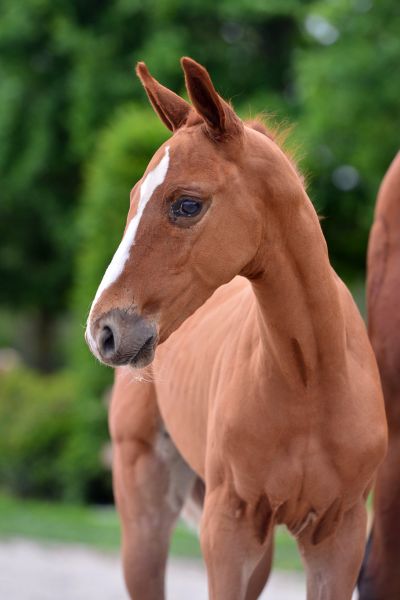 03-2020-03-08-20200523-ga71239-1-90 03-2020-03-08-20200523-ga71239-1-90